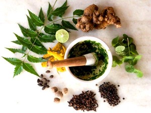 What is the Difference Between Ayurveda and other Forms Of Medicine